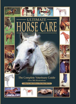 Ultimate Horse Care - The Ultimate (Hardback)