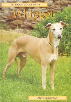 Pet Owner's Guide to the Whippet - Pet Owner's Guide S. (Hardback)