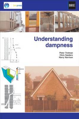 Understanding Dampness: Effects, Causes, Diagnosis and Remedies (BR 466) (Paperback)