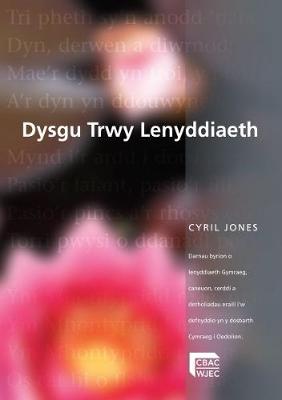 Dysgu trwy Lenyddiaeth (Paperback)