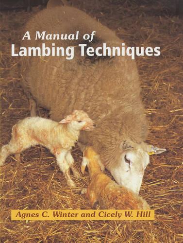 A Manual of Lambing Techniques (Hardback)