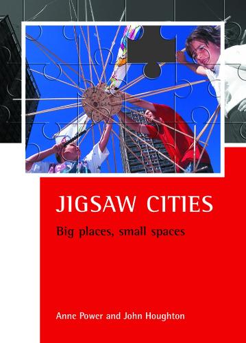 Jigsaw cities: Big places, small spaces - CASE Studies on Poverty, Place and Policy (Paperback)