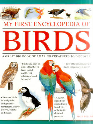 My First Encylopedia of Birds (Giant Size) (Paperback)