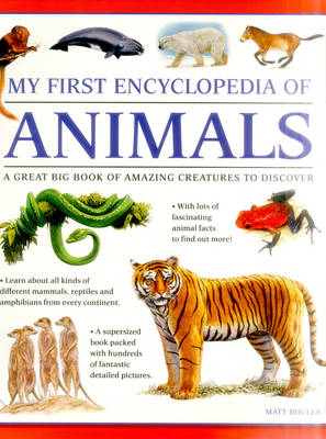 My First Encyclopedia of Animals (Giant Size) (Paperback)