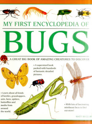 My First Encylopedia of Bugs (Giant Size) (Paperback)