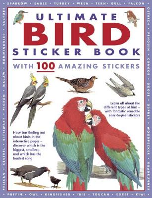 Sticker Books