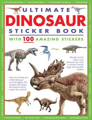 Sticker Books