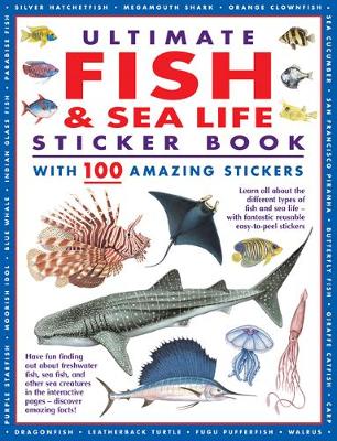 Sticker Books