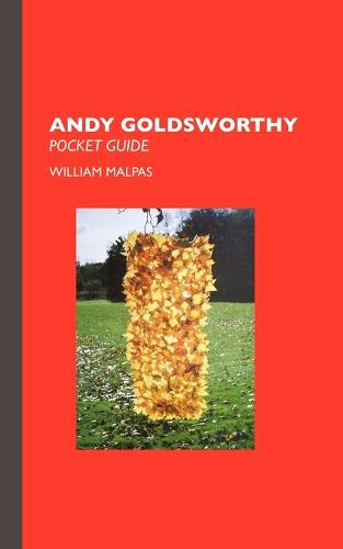 Andy Goldsworthy - Sculptors (Paperback)