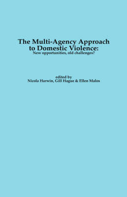 Domestic Violence and Multi-agency Working (Paperback)