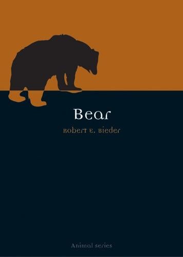 Bear - Animal Series (Paperback)