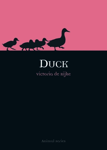 Duck - Animal Series (Paperback)