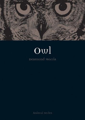 Owl - Animal Series (Paperback)