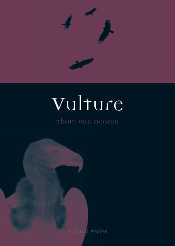 Vulture - Animal Series (Paperback)