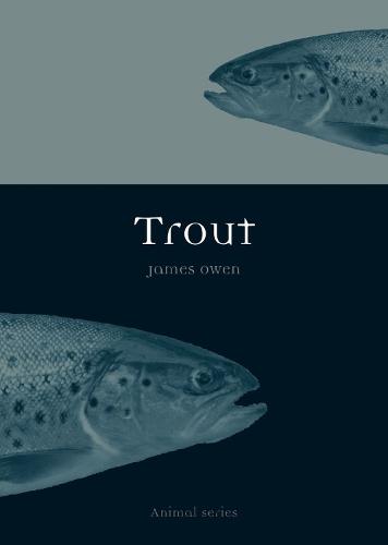 Trout - Animal Series (Paperback)