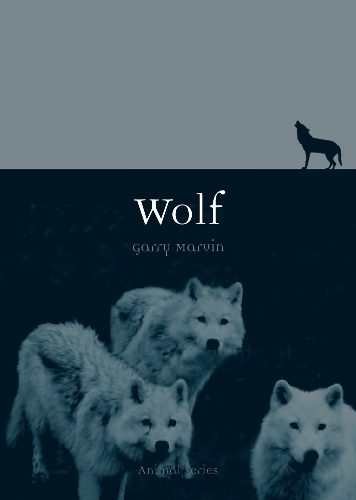 Wolf - Animal Series (Paperback)