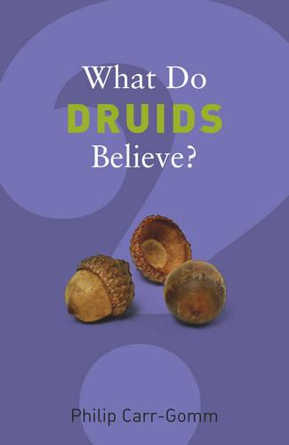 What Do Druids Believe? - What Do We Believe (Paperback)