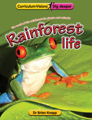 Rainforest Life (Paperback)