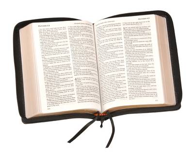 Holy Bible - with Zip Fastner: Authorised (King James) Version: Windsor Text - Windsor Series (Leather / fine binding)