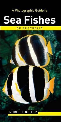 A Photographic Guide to Sea Fishes of Australia - Photographic Guides (Paperback)