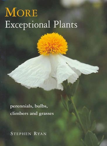 More Exceptional Plants: Perennials, Bulbs, Climbers & Grasses (Hardback)