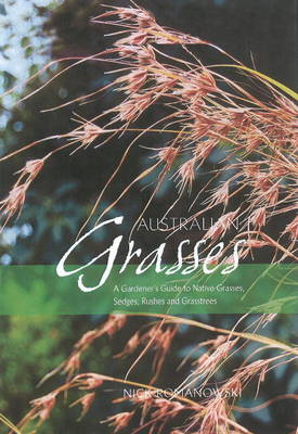 Australian Grasses: A Gardener's Guide to Native Grasses, Sedges, Rushes & Grasstrees (Paperback)