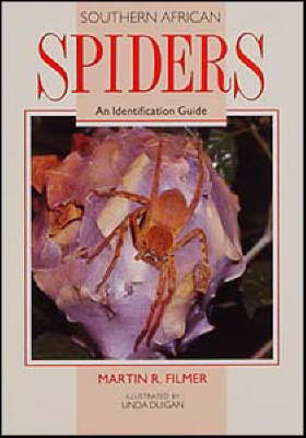 South African Spiders: An Identification Guide (Paperback)