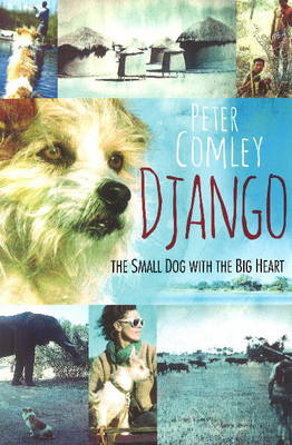 Django: A small dog with a big heart (Paperback)