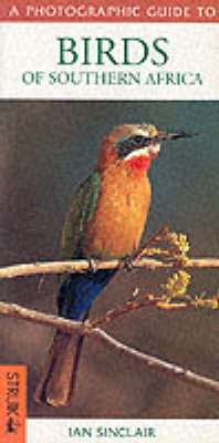 A Photographic Guide to Birds of Southern Africa (Paperback)