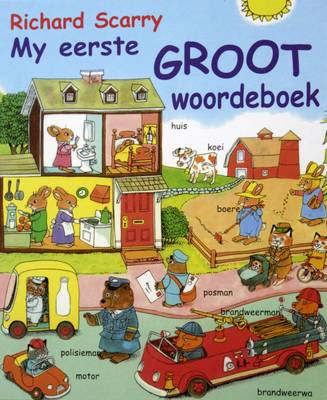My eerste groot woordeboek (Paperback)