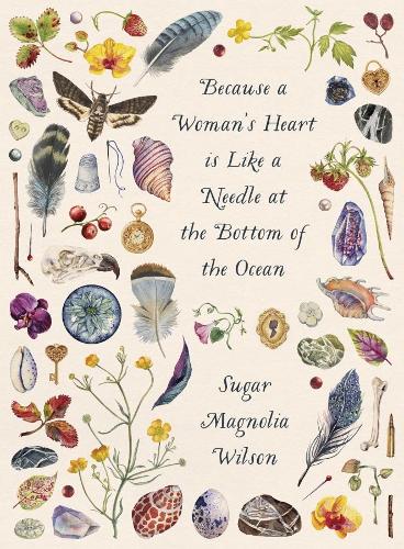Because a Woman's Heart is Like a Needle at the Bottom of the Ocean (Paperback)