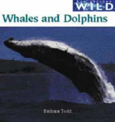 Whales and Dolphins - New Zealand wild (Paperback)