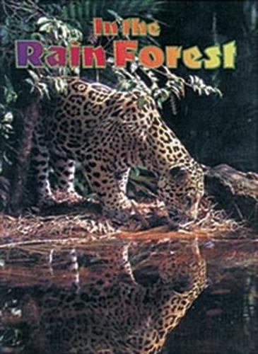 In the Rain Forest: Leopard - Wildcats (Paperback)