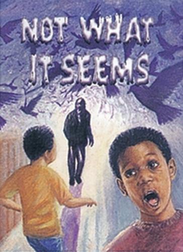 Not What it Seems - Wildcats (Paperback)