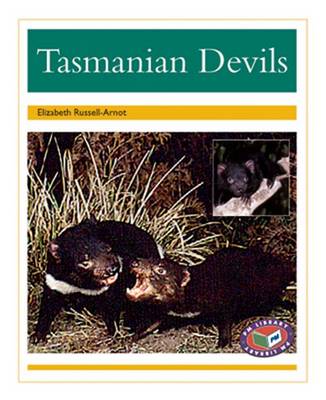 Tasmanian Devils (Paperback)