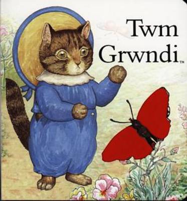 Twm Grwndi (Hardback)