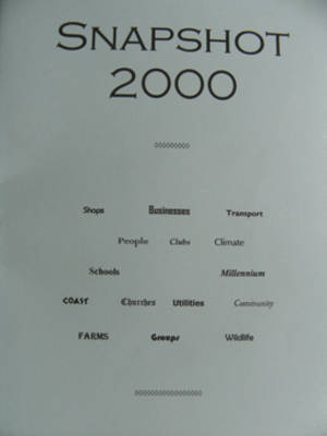 Snapshot 2000: Life at the End of the Twentieth Century in the East -Lothian Coastal Villages of Gullane and Dirleton and Their Hinterland (Paperback)