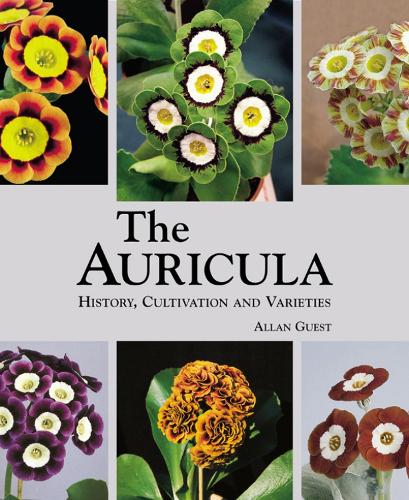 Auricula: History, Cultivation and Varieties (Hardback)