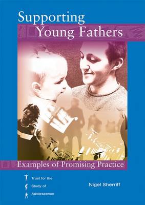 Supporting Young Fathers: Examples of Promising Practice (Paperback)