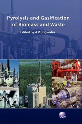 Pyrolysis and Gasification of Biomass and Waste (Hardback)