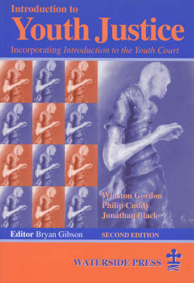Introduction to Youth Justice (Paperback)