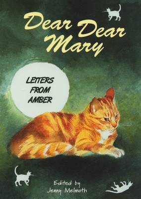 Dear Dear Mary: Letters from Amber (Paperback)