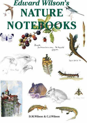 Edward Wilson's Nature Notebooks - Antarctic (Hardback)