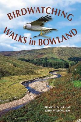 Birdwatching Walks in Bowland (Paperback)