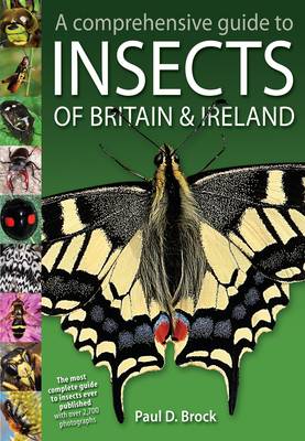 A Comprehensive Guide to Insects of Britain and Ireland (Hardback)