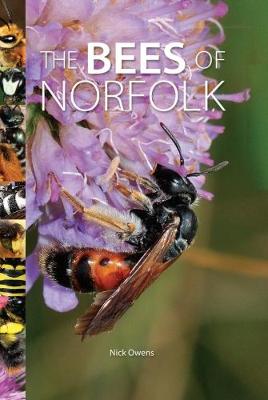 The Bees of Norfolk (Hardback)