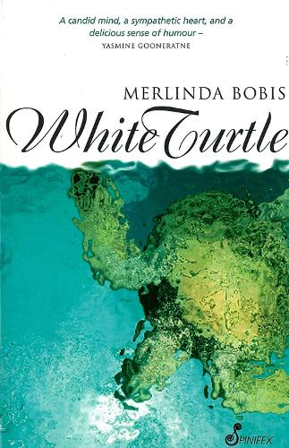 White Turtle (Paperback)