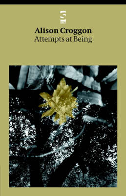 Attempts at Being - Salt Modern Poets (Paperback)