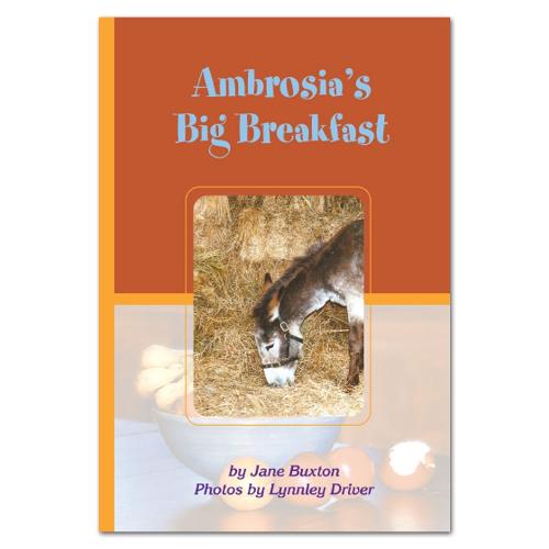 Rainbow Reading Ambrosia's Big Breakfast - Orange Series (Paperback)