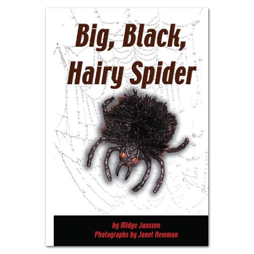 Rainbow Reading Big, Black, Hairy Spider - White Series (Paperback)